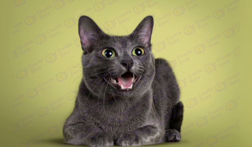 Korat color texture background