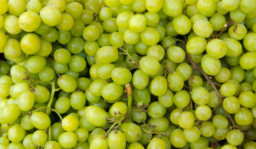 Grapes color texture background