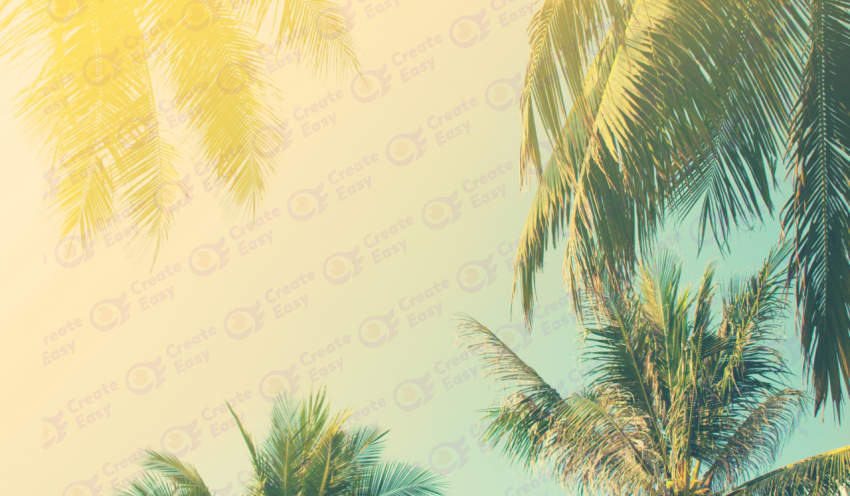 coconut tree color background