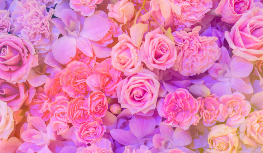 Pink flower color texture background