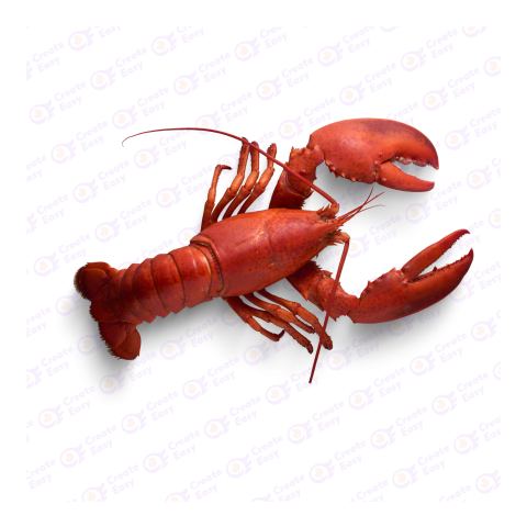 Red lobster createeasy png