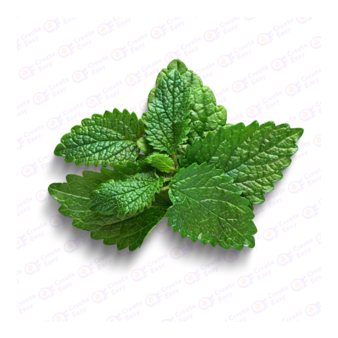 Mint leaf createeasy png