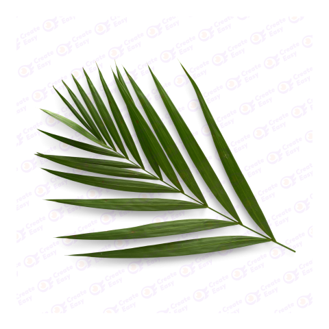 Leaf createeasy png