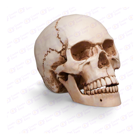 skull createeasy png