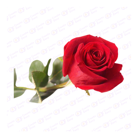 Rose createeasy png