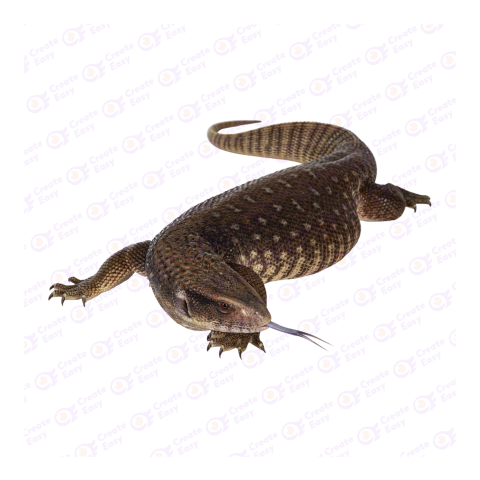 Savannah monitor png image