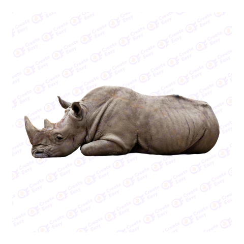 Rhinoceros png image