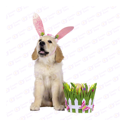Golden Retriever png image