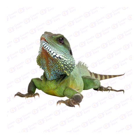 Chinese water dragon png image