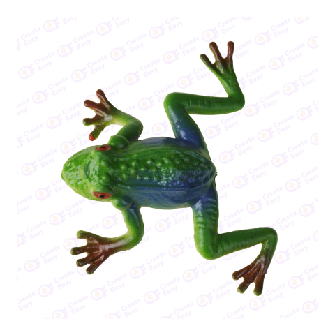 Red-eyed tree frog png image