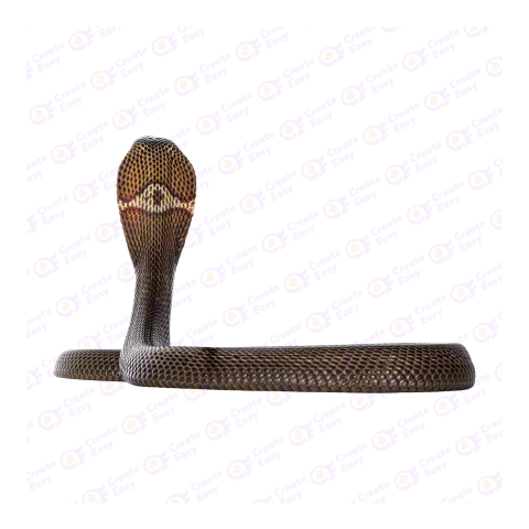 Monocled cobra png image