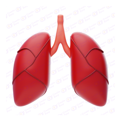 Human Lungs 3d free png image