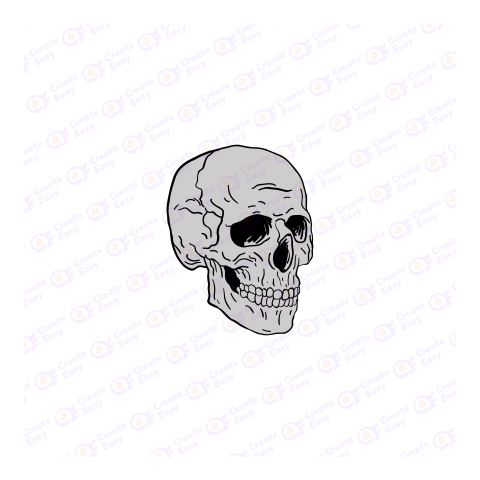 Skull illustration Flat geometric management icon