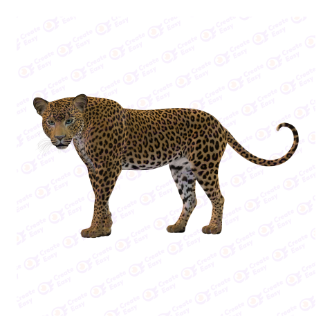 African leopard Flat icon free png image