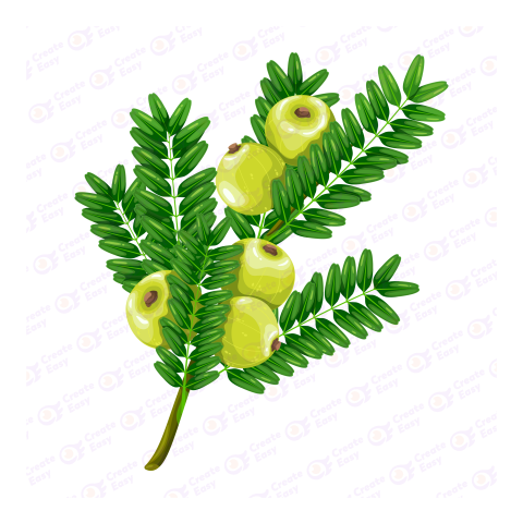 Indian gooseberry Flat icon free png image