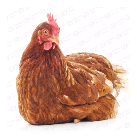 ISA Brown Free png image