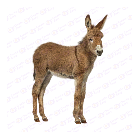 Mule png image