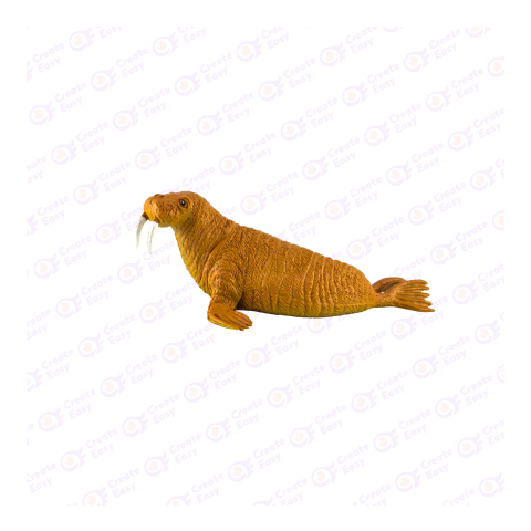 Pacific walrus png image