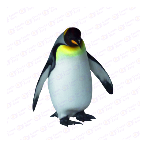 Emperor penguin png image