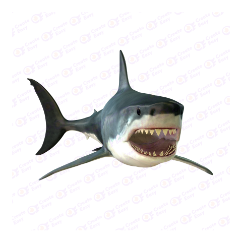 Great white shark png image