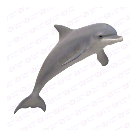 Common bottlenose dolphin png image