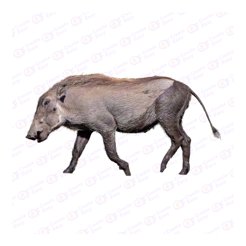 Warthogs png image