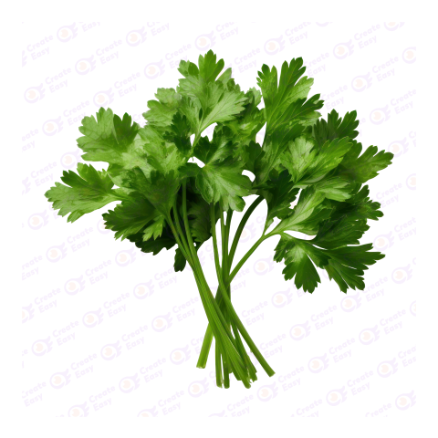 Fresh Flat Leaves Parsley free png image