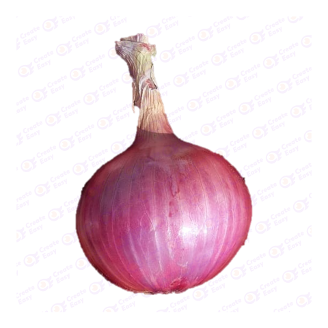 Red onion Flat icon free png image